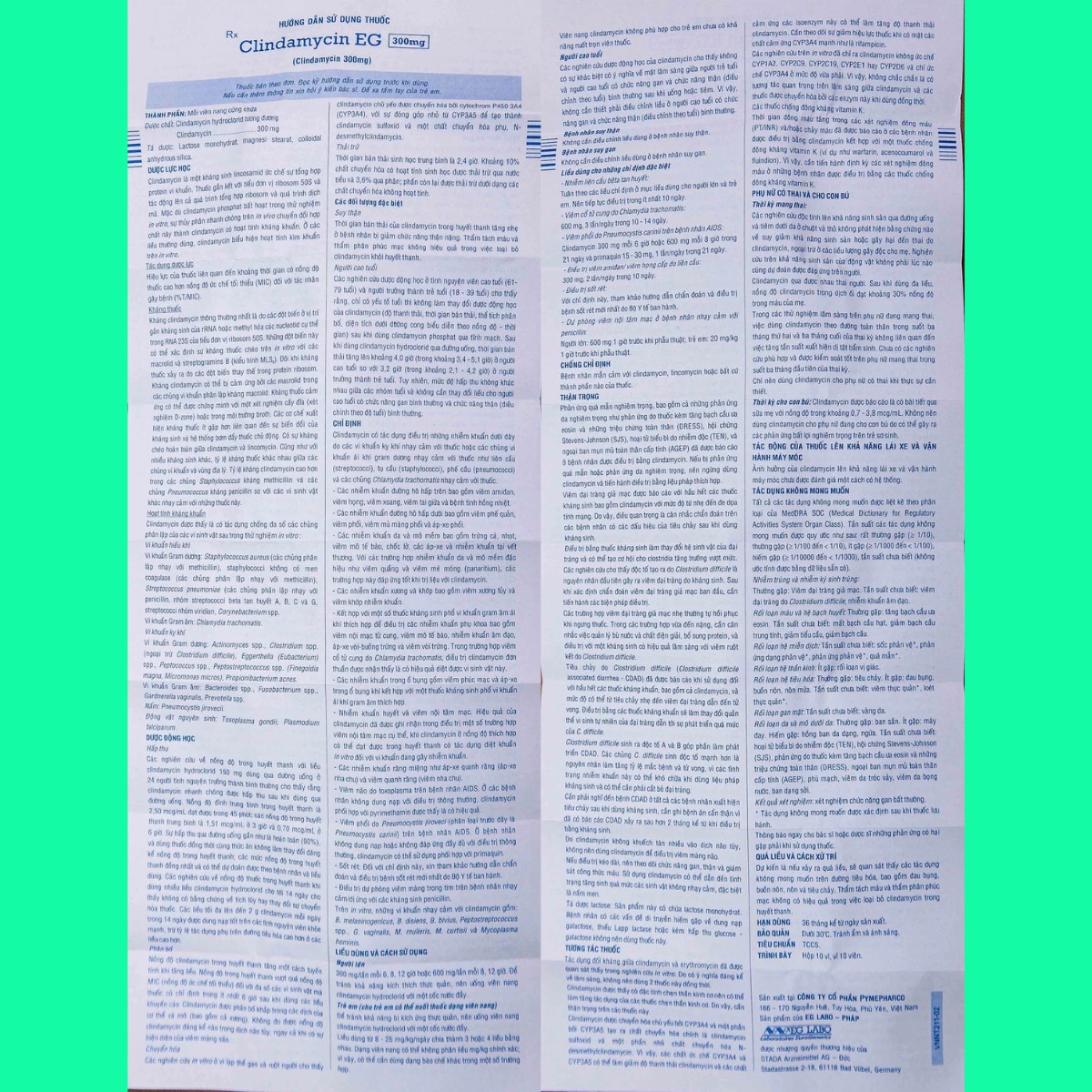 clindamycin-eg-300mg-6 Thuốc Clindamycin EG 300mg