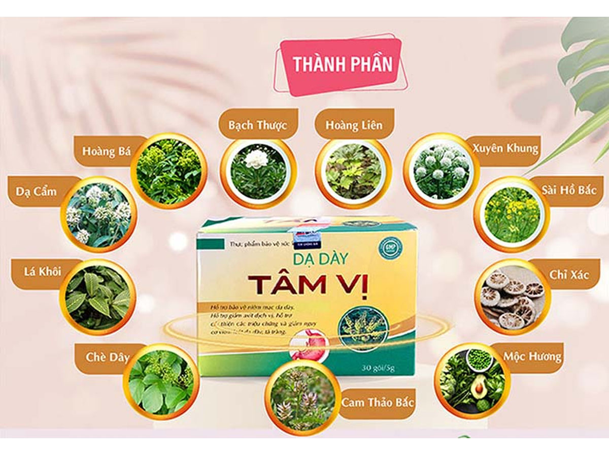 Dạ Dày Tâm Vị