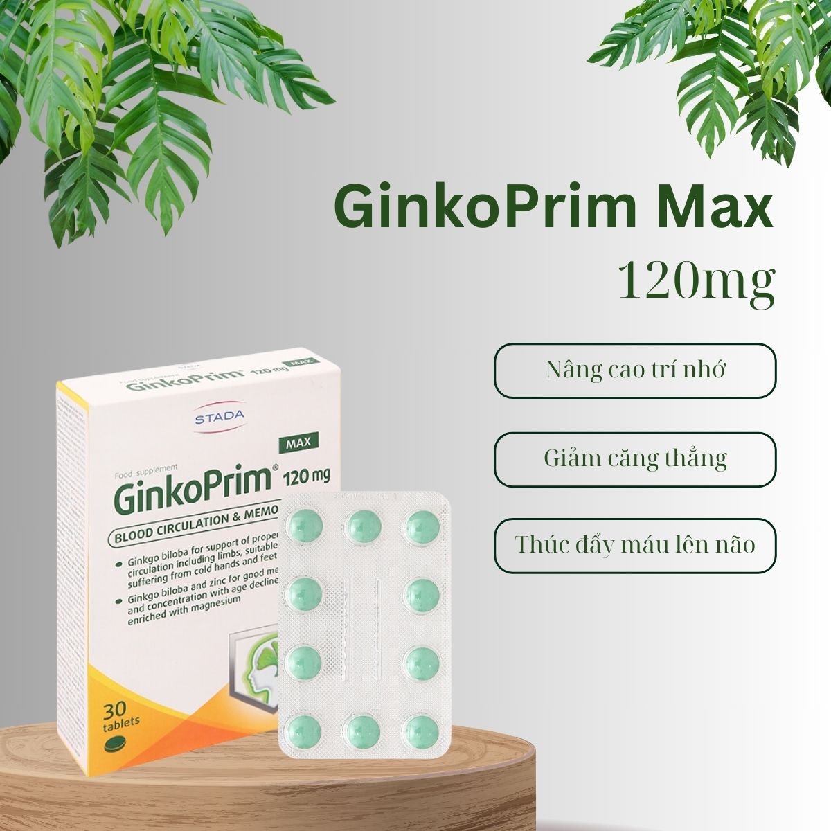 GinkoPrim Max 120mg 14 GinkoPrim Max 120mg