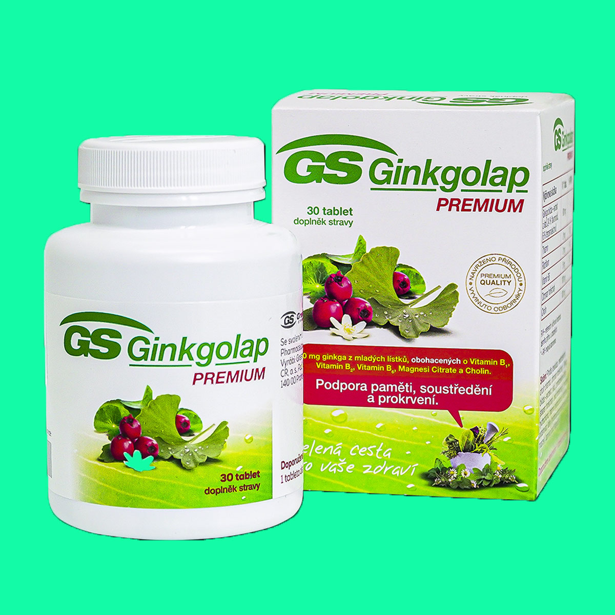 gs-ginkgolap-premium-1 GS Ginkgolap