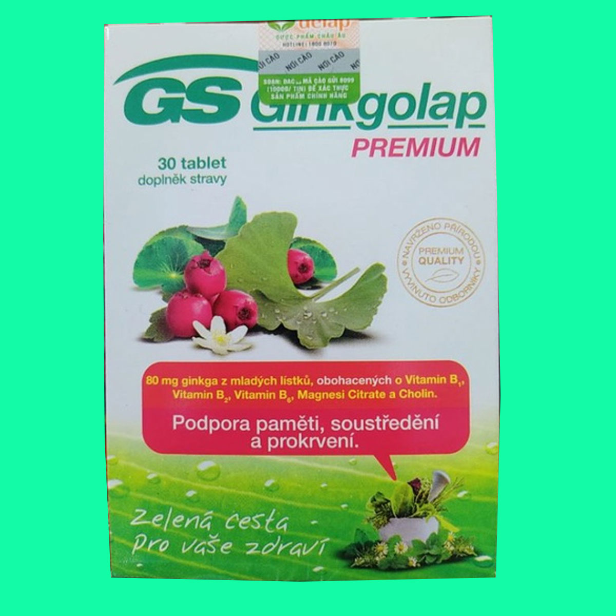gs-ginkgolap-premium-4 GS Ginkgolap