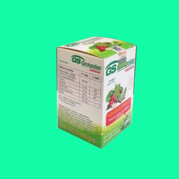 GS Ginkgolap 4 GS Ginkgolap