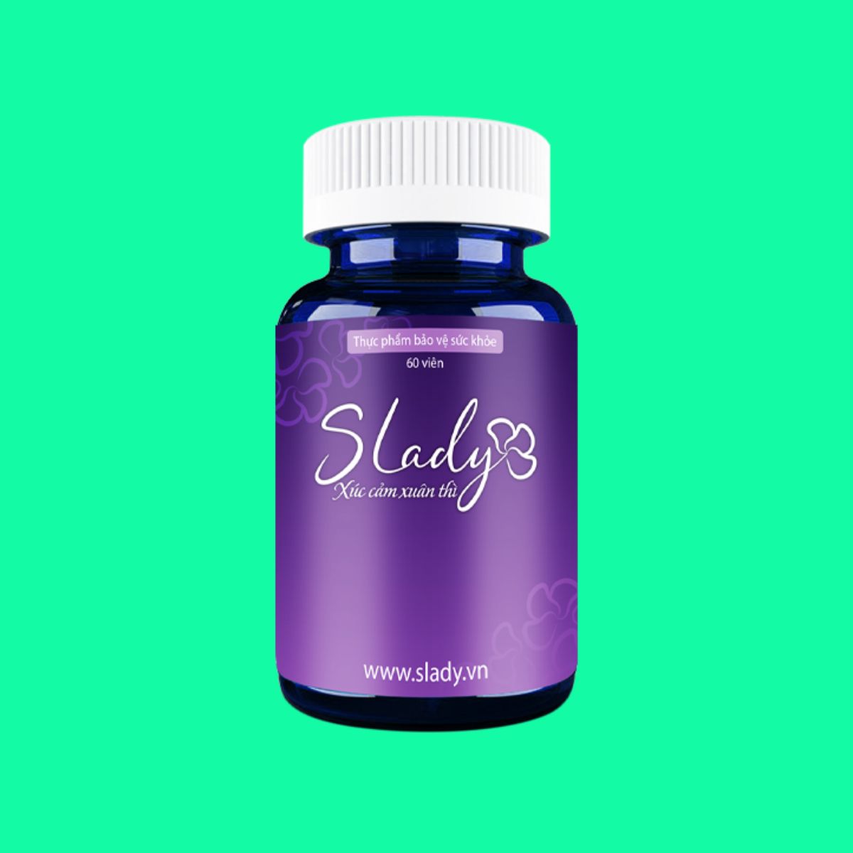 slady-6 SLady