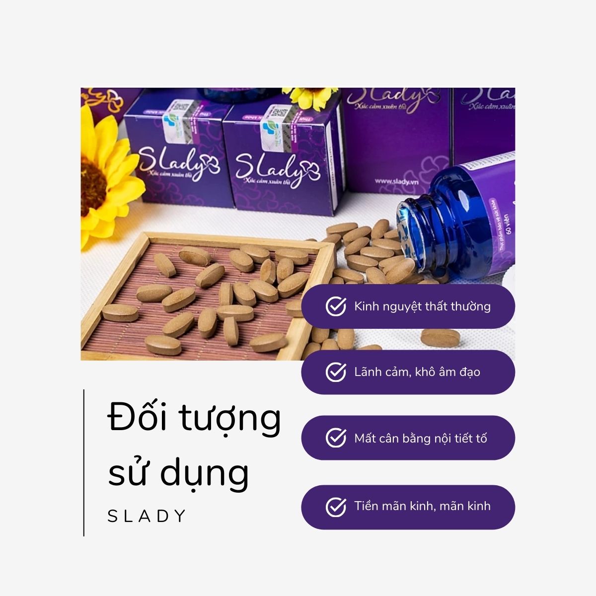 SLady 12 SLady