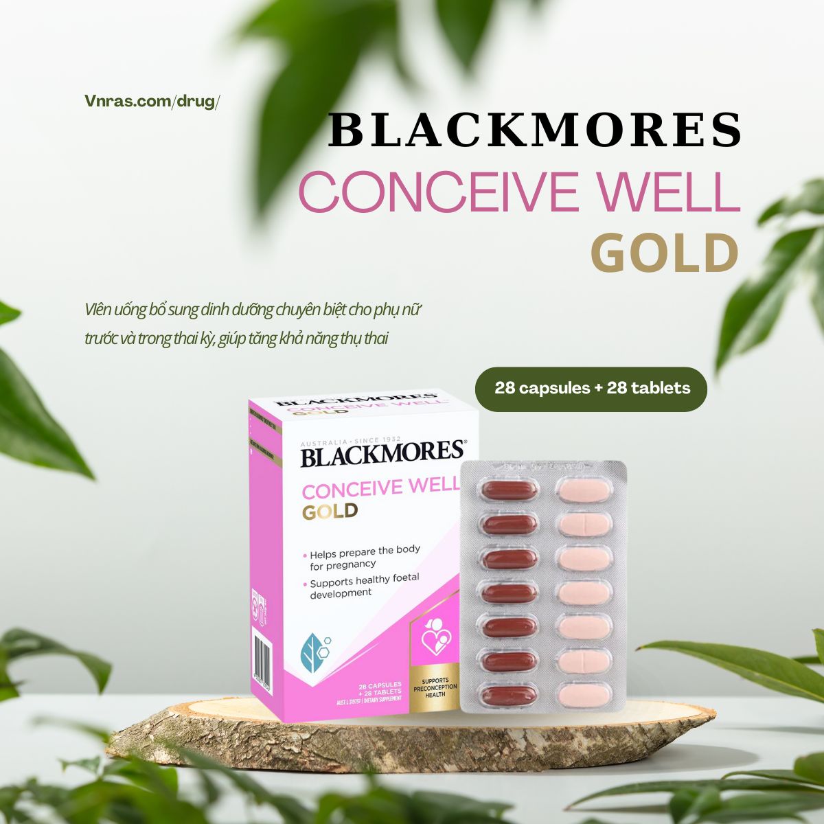Blackmores Conceive Well Gold
