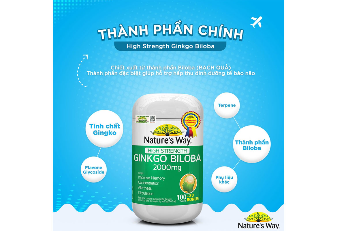 Nature's Way High Strength Ginkgo Biloba 2000mg