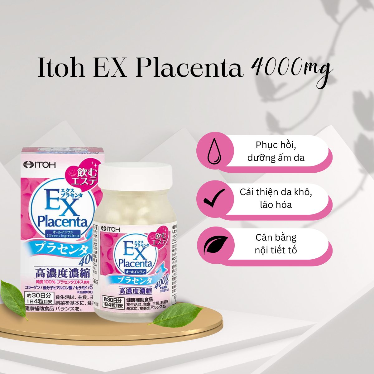 EX Placenta Itoh