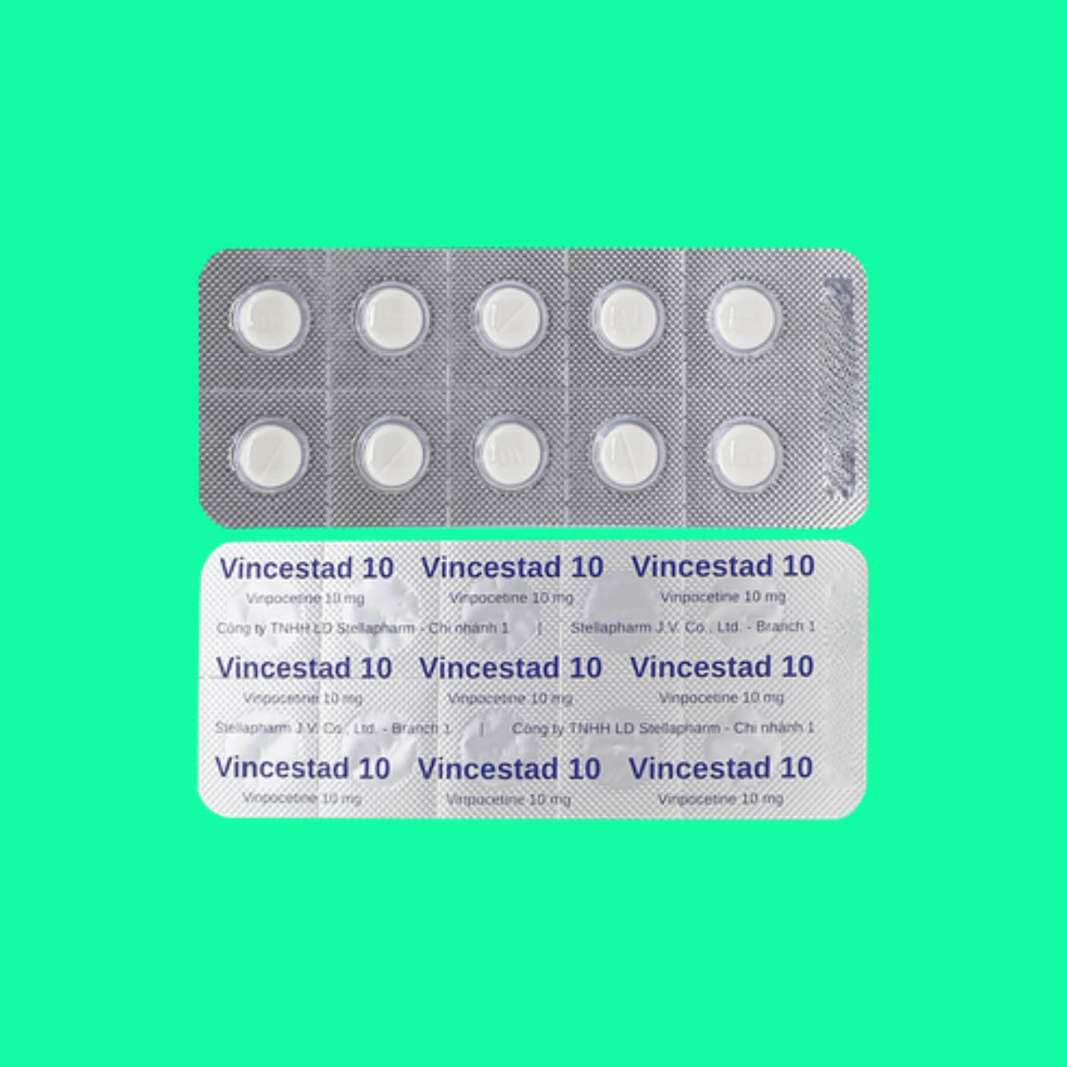 12-4 - 54 Thuốc Vincestad 10