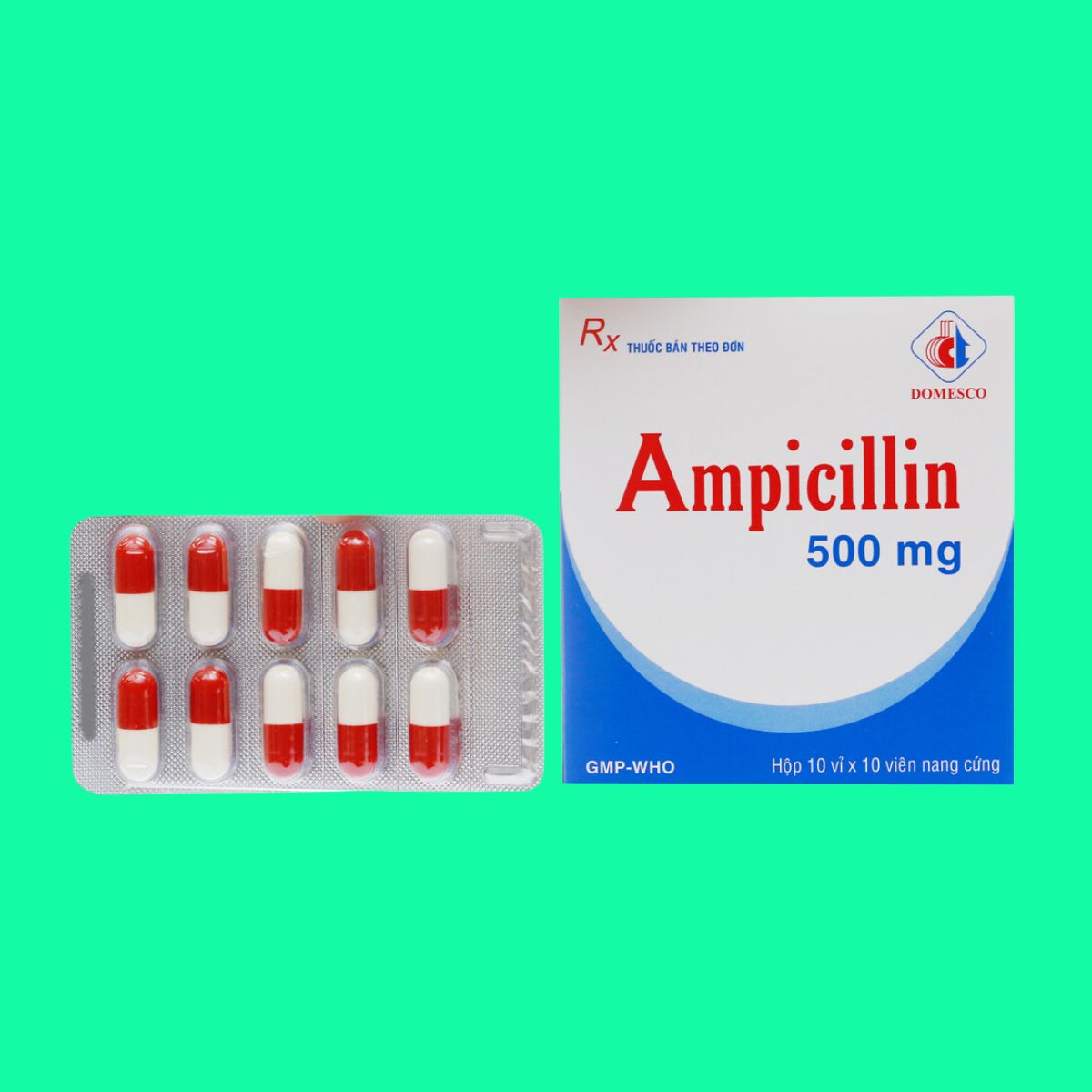 Ampicillin 500mg Domesco-1 Ampicillin 500mg Domesco điều trị nhiễm khuẩn