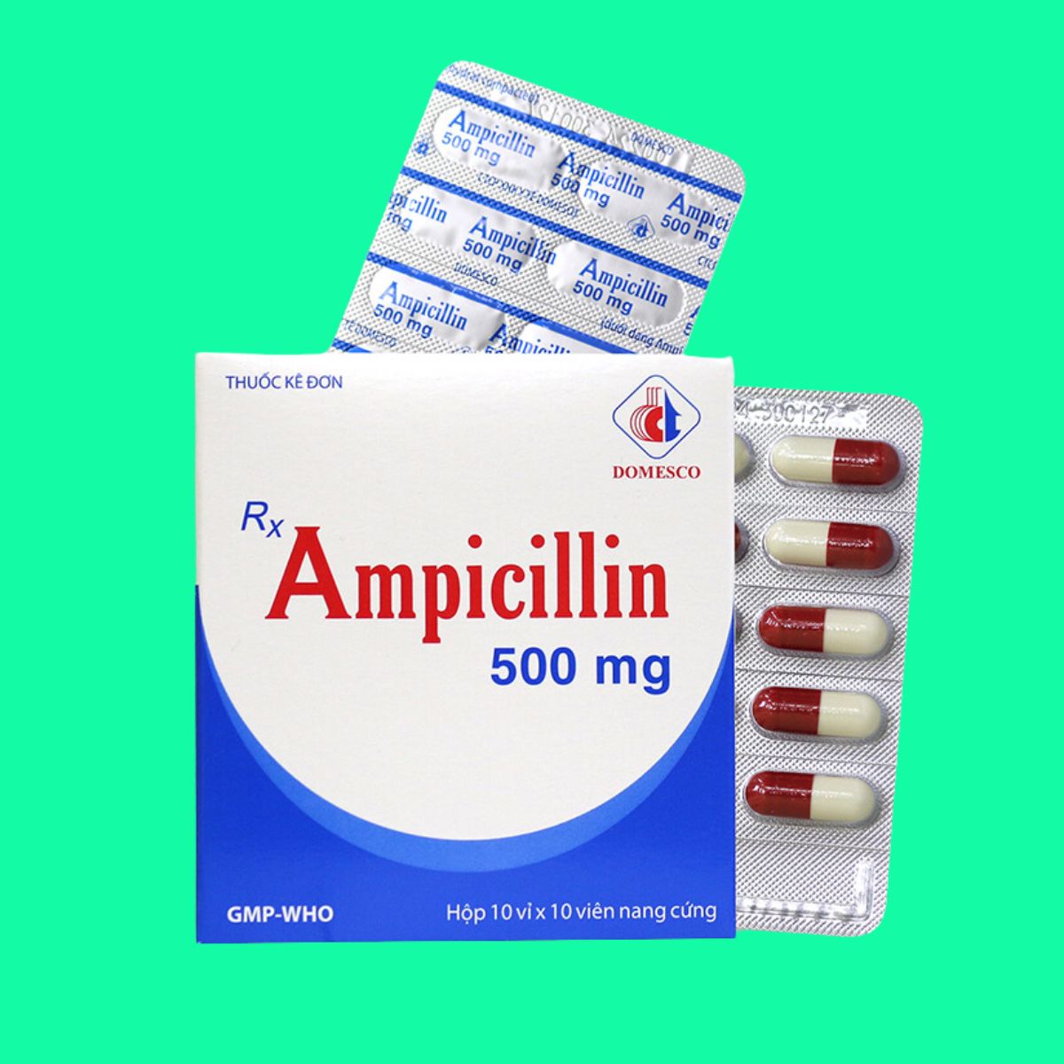 Ampicillin 500mg Domesco-4 Ampicillin 500mg Domesco điều trị nhiễm khuẩn
