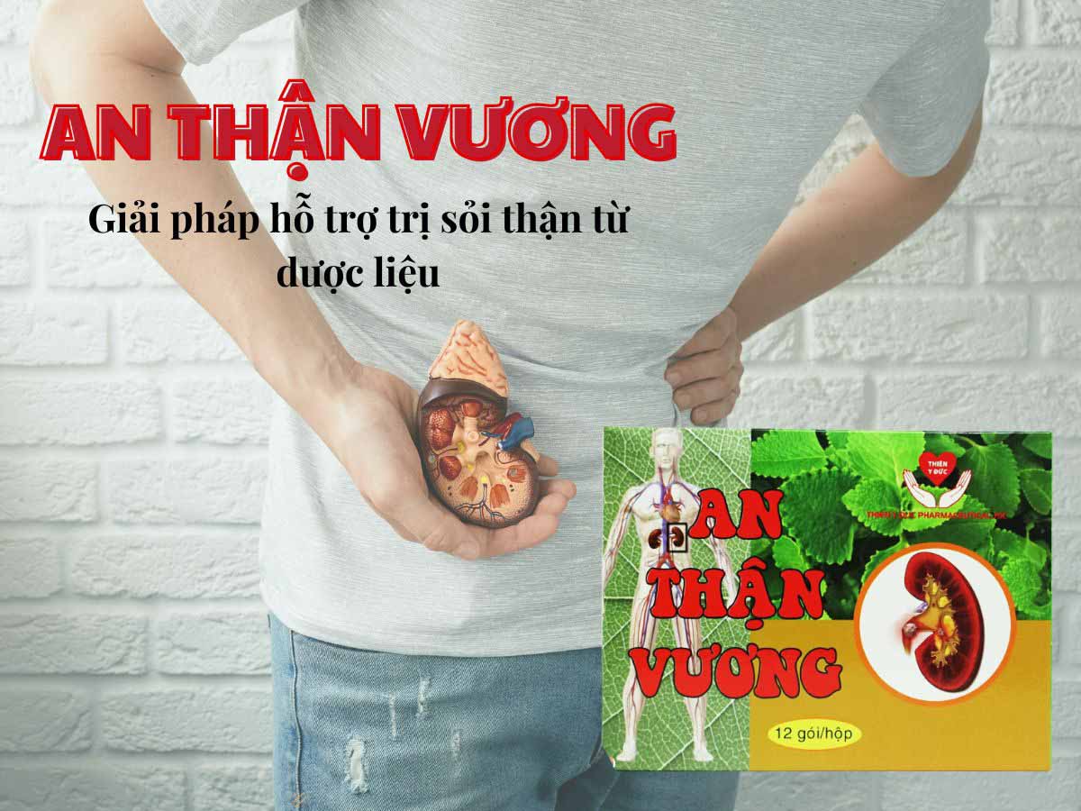 An Thận Vương 13 An Thận Vương - Hỗ trợ điều trị sỏi thận, sỏi mật, sỏi bàng quang