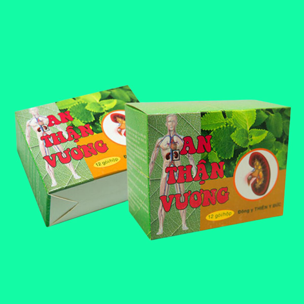 An Than Vuong - 7 An Thận Vương