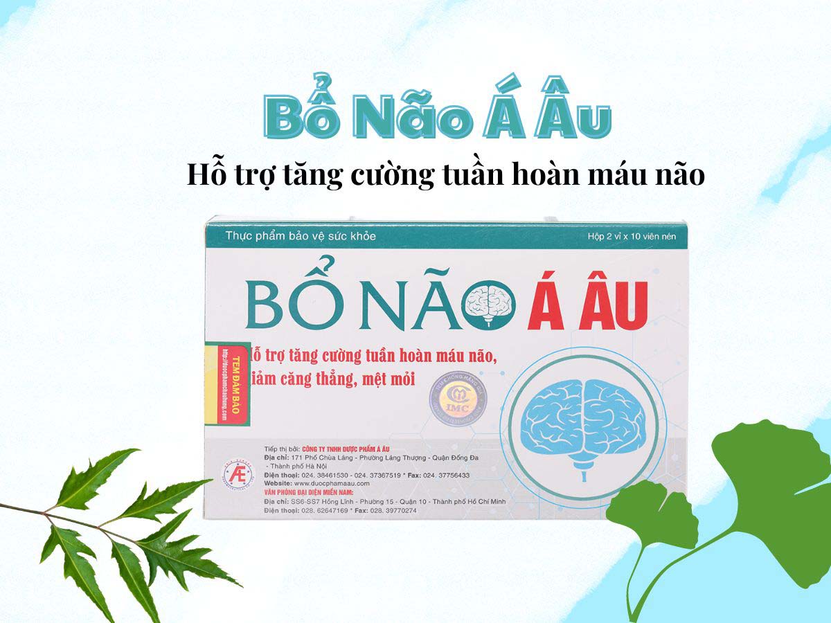Bổ Não Á Âu - Hỗ trợ điều trị thiểu năng tuần hoàn não