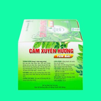 Cảm Xuyên Hương Yên Bái (Hộp 100 viên)