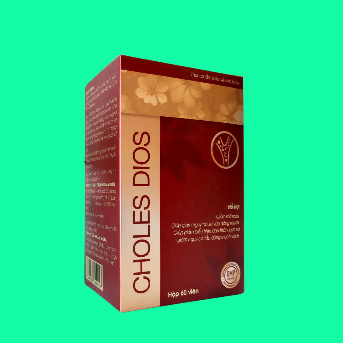 Choles Dios - 4 Choles Dios