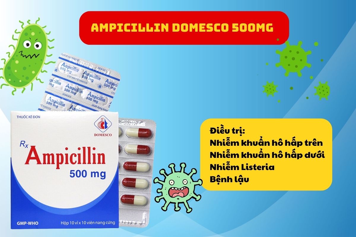 Ampicillin 500mg Domesco 17 Công dụng của Ampicillin Domesco 500mg