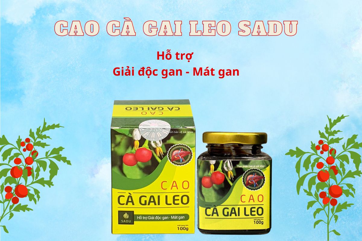 Cao Cà Gai Leo Sadu 15 Công dụng của Cao Cà Gai Leo Sadu