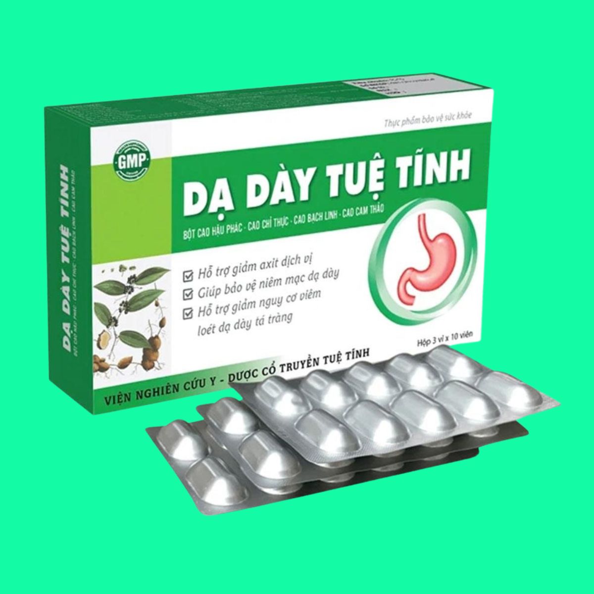 Dạ Dày Tuệ Tĩnh (6) Dạ Dày Tuệ Tĩnh
