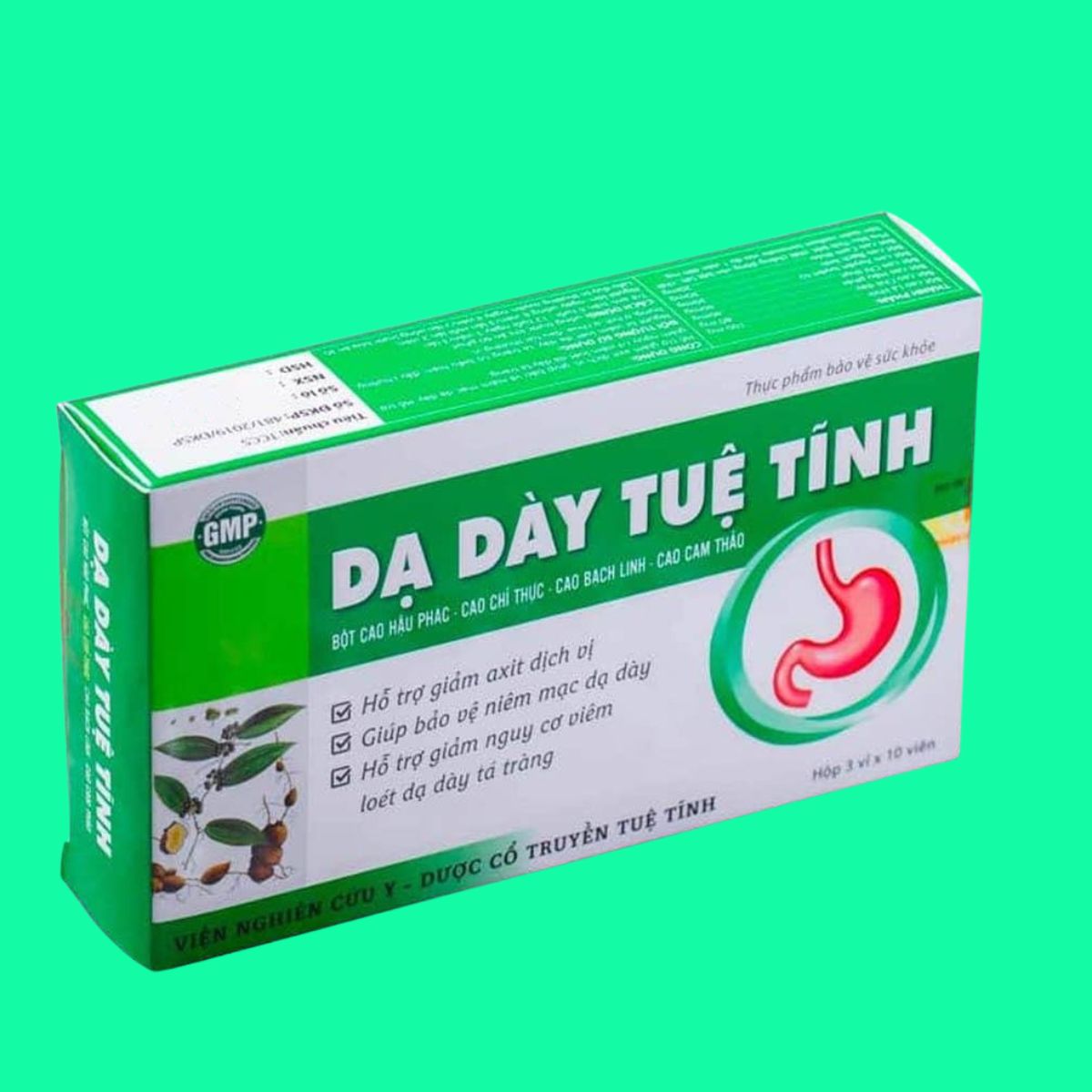 Dạ Dày Tuệ Tĩnh (7) Dạ Dày Tuệ Tĩnh