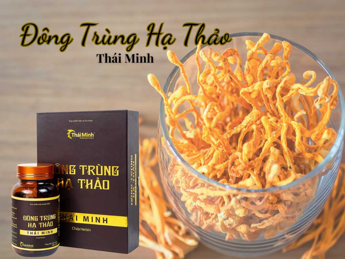 Đông Trùng Hạ Thảo Thái Minh