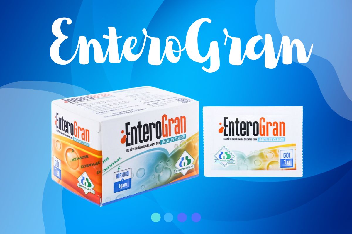 EnteroGran được chỉ định trong trường hợp nào?