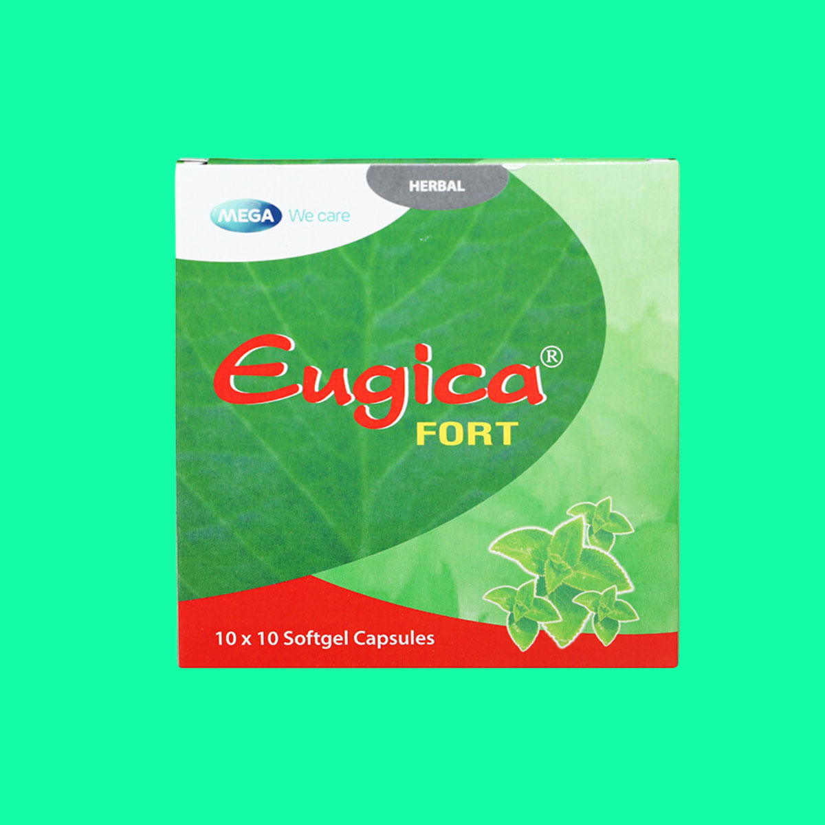 Eugica Fort - 6 Eugica Fort