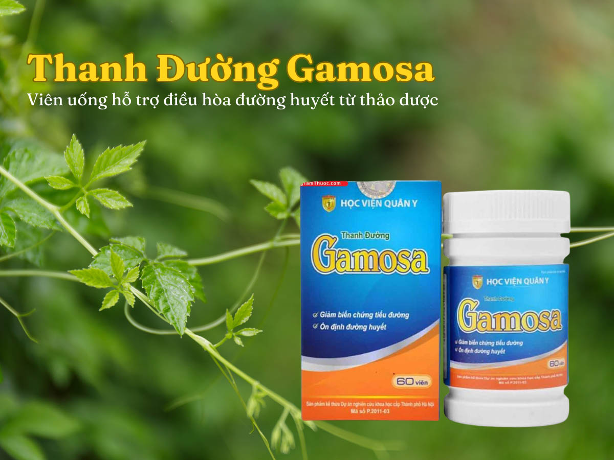 Thanh Đường Gamosa 12 Thanh Đường Gamosa