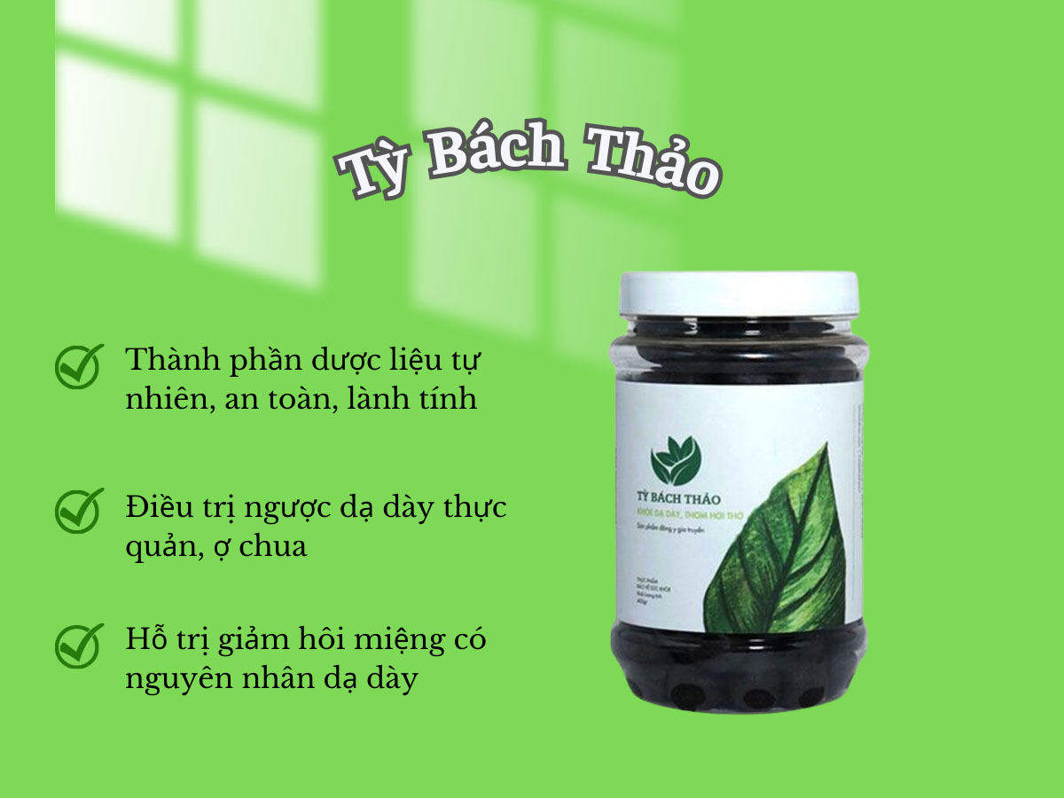Tỳ Bách Thảo