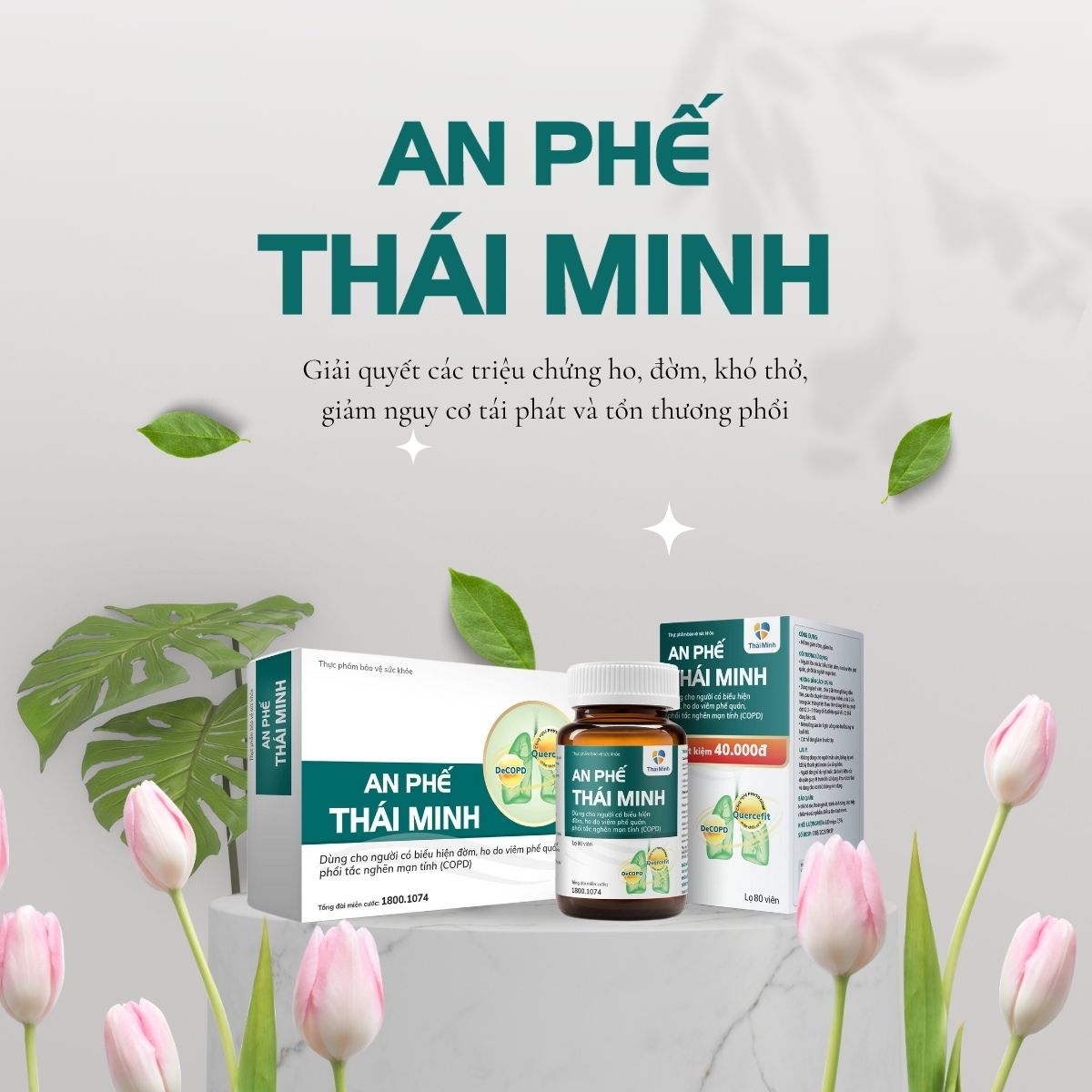 An Phế Thái Minh 11 An Phế Thái Minh