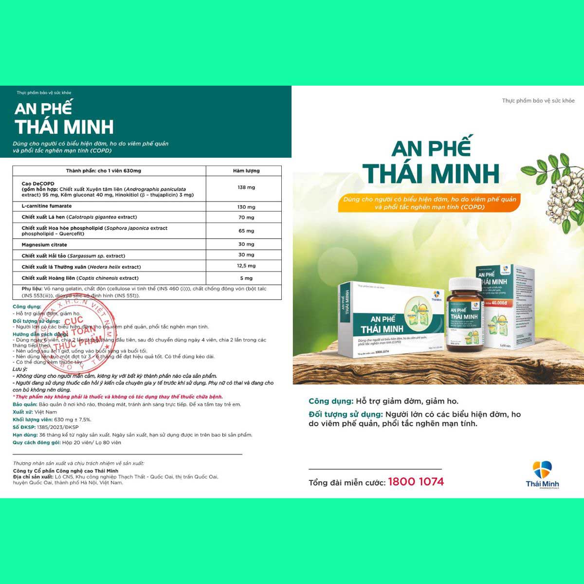 17-5 - 31 An Phế Thái Minh