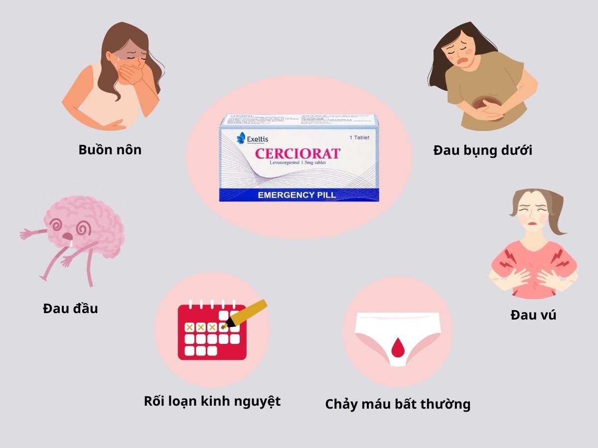 Cerciorat 13 Thuốc Cerciorat
