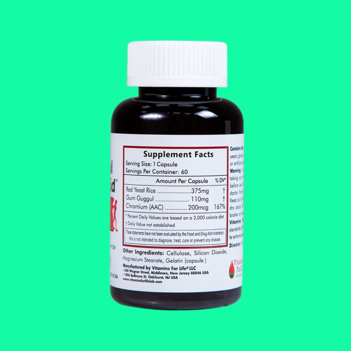cholesterol-aid-9 Cholesterol Aid