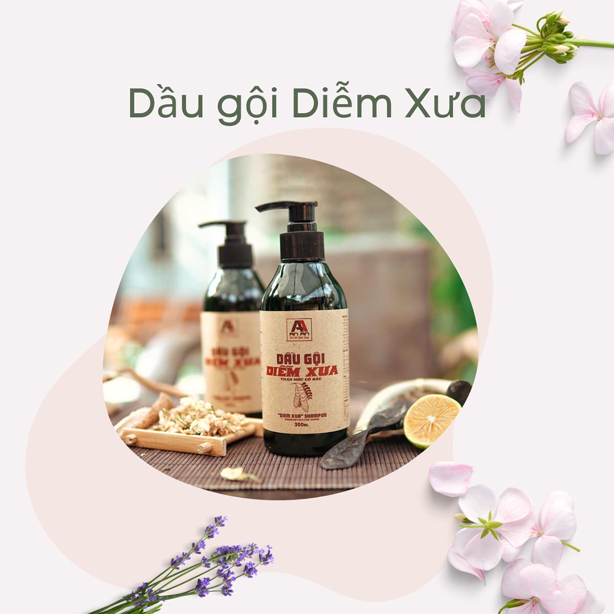 Dầu gội thảo mộc bồ kết Diễm Xưa