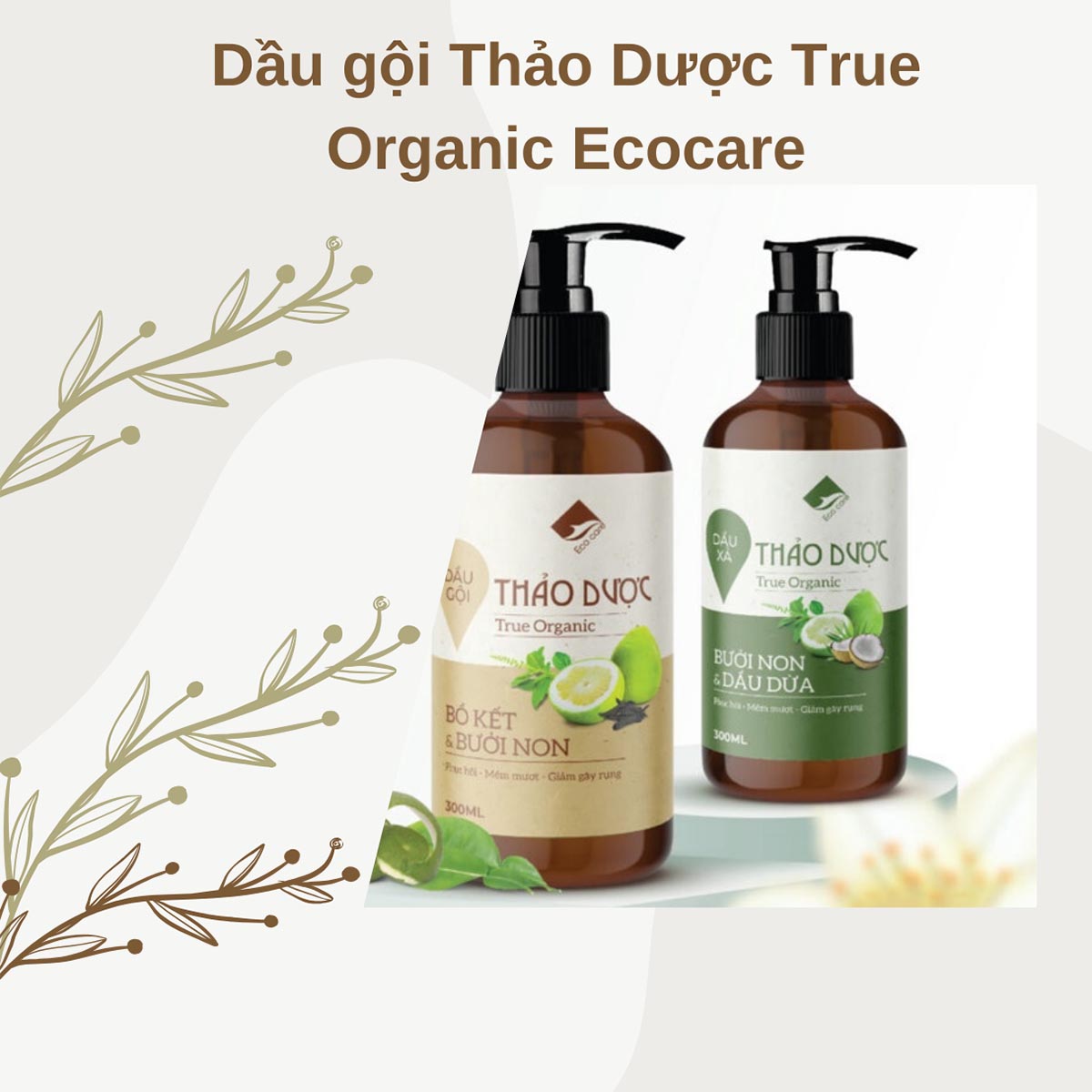 Dầu gội Thảo Dược True Organic Ecocare