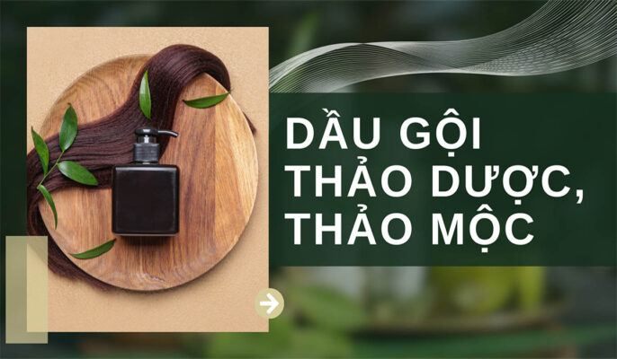 Tổng hợp 7+ loại dầu gội thảo dược, thảo mộc giúp giảm gàu nấm, ngăn rụng tóc