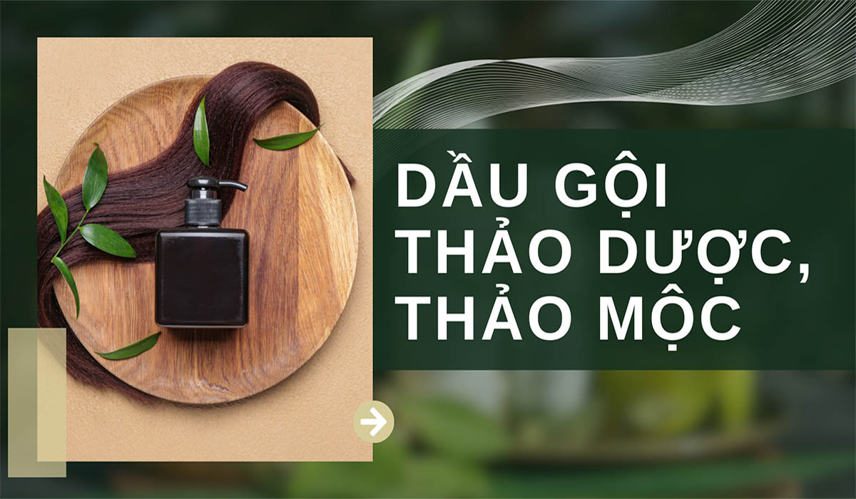 Tổng hợp 7+ loại dầu gội thảo dược, thảo mộc giúp giảm gàu nấm, ngăn rụng tóc