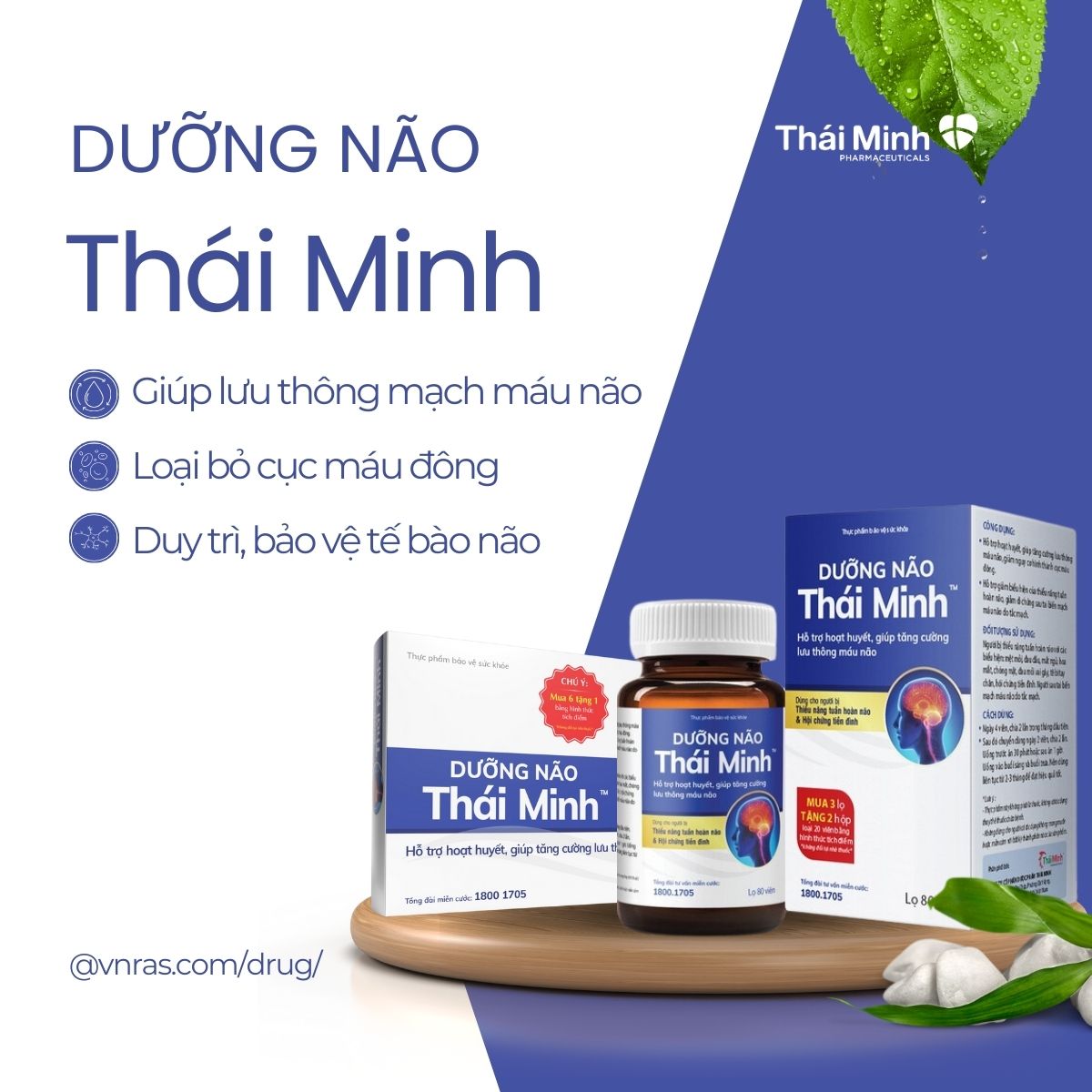 Dưỡng Não Thái Minh