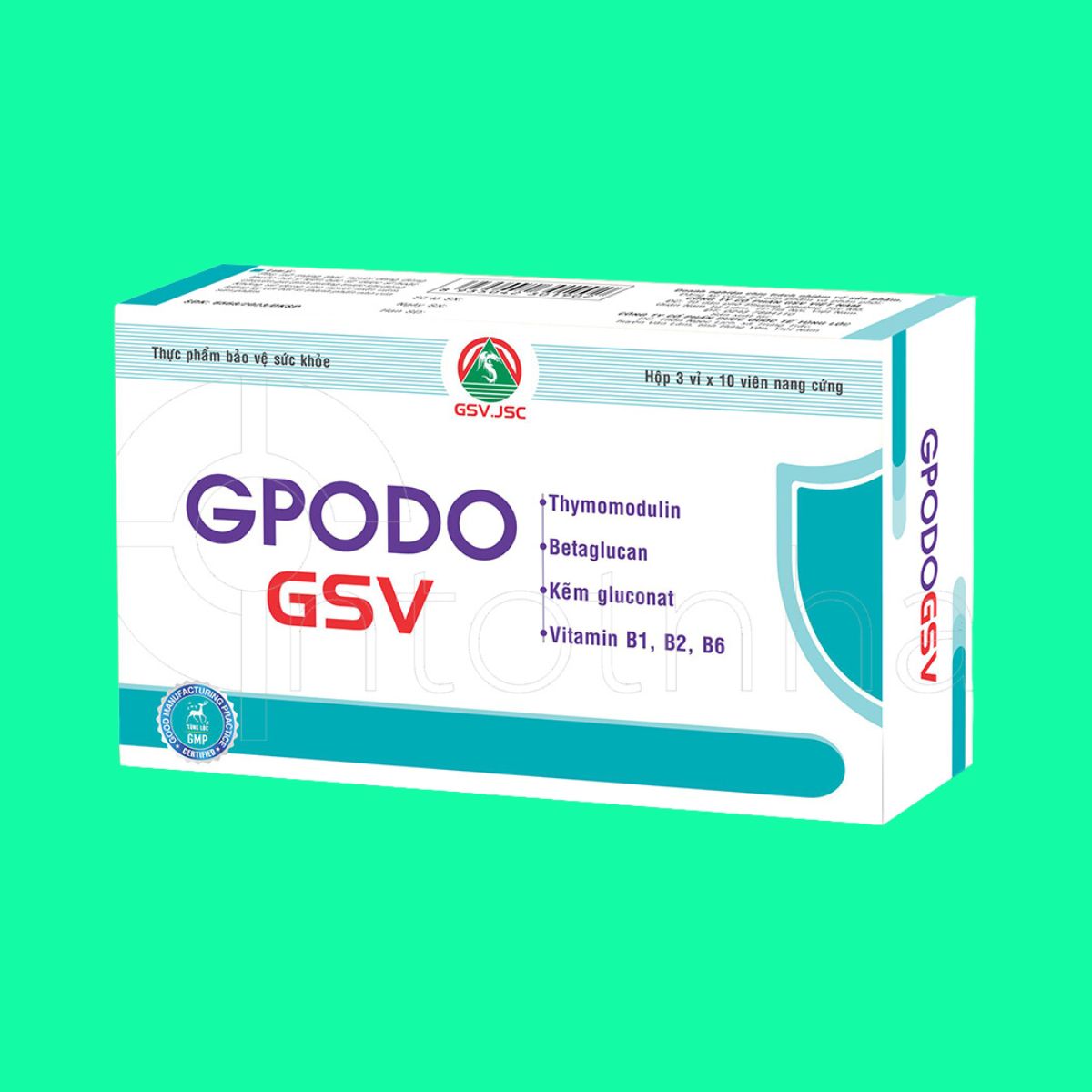 gpodo-gsv-2 GPODO GSV