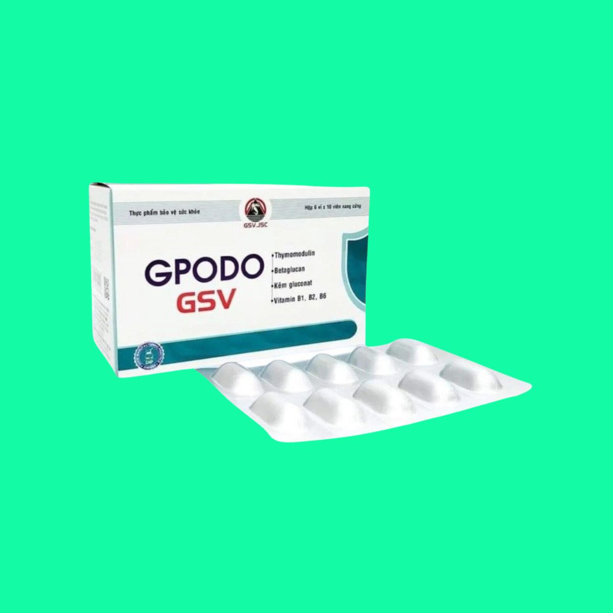 gpodo-gsv-4 GPODO GSV
