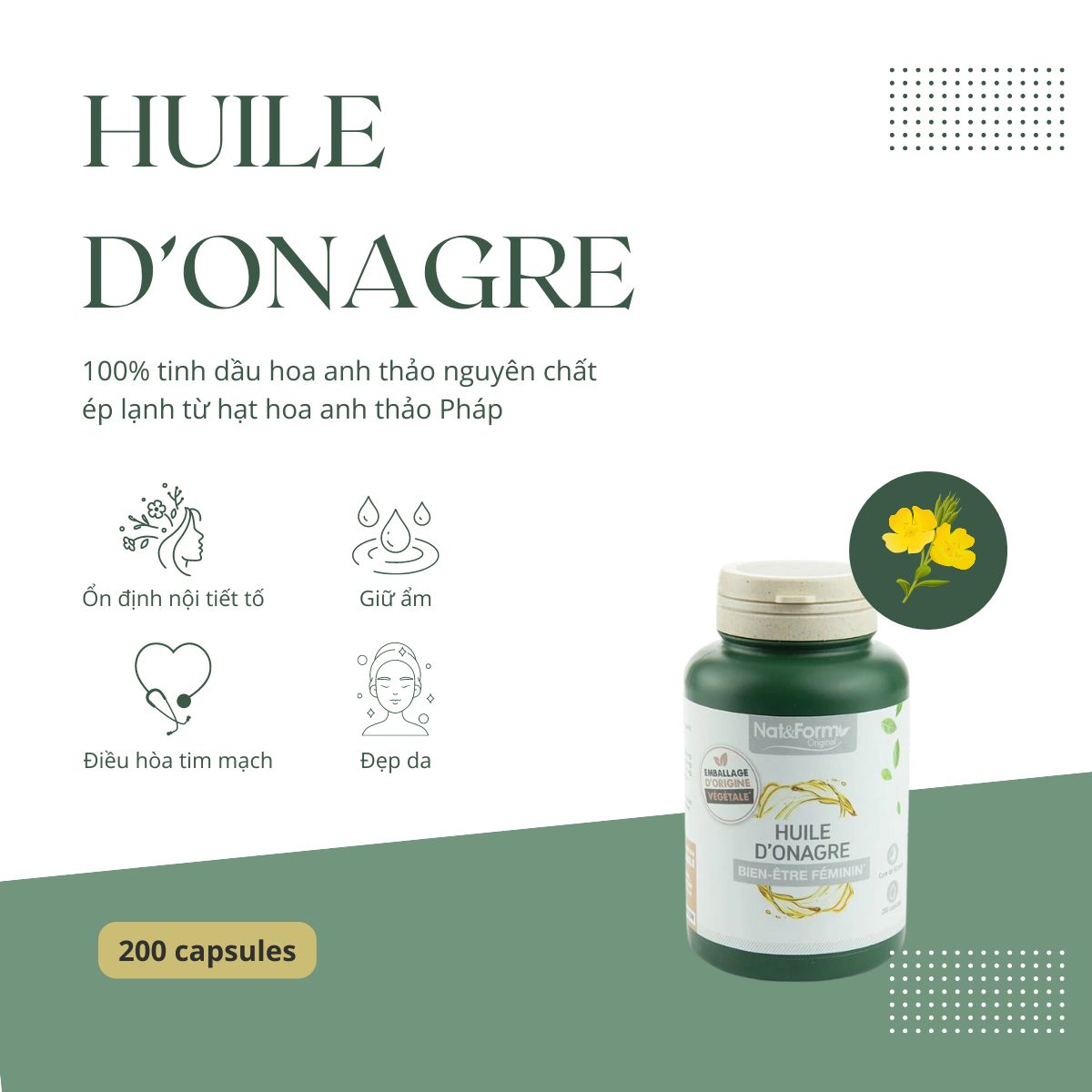 Huile D’Onagre Nat & Form 10 Huile D’Onagre Nat&Form