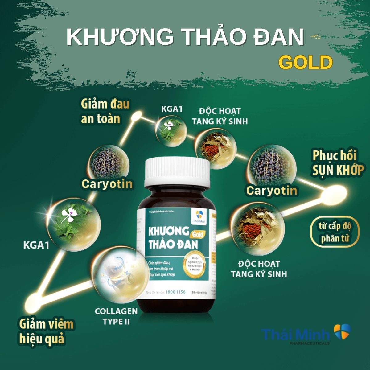 Khương Thảo Đan Gold