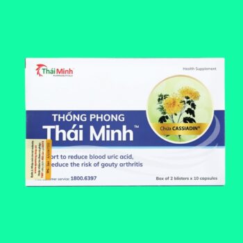 Thống Phong Thái Minh