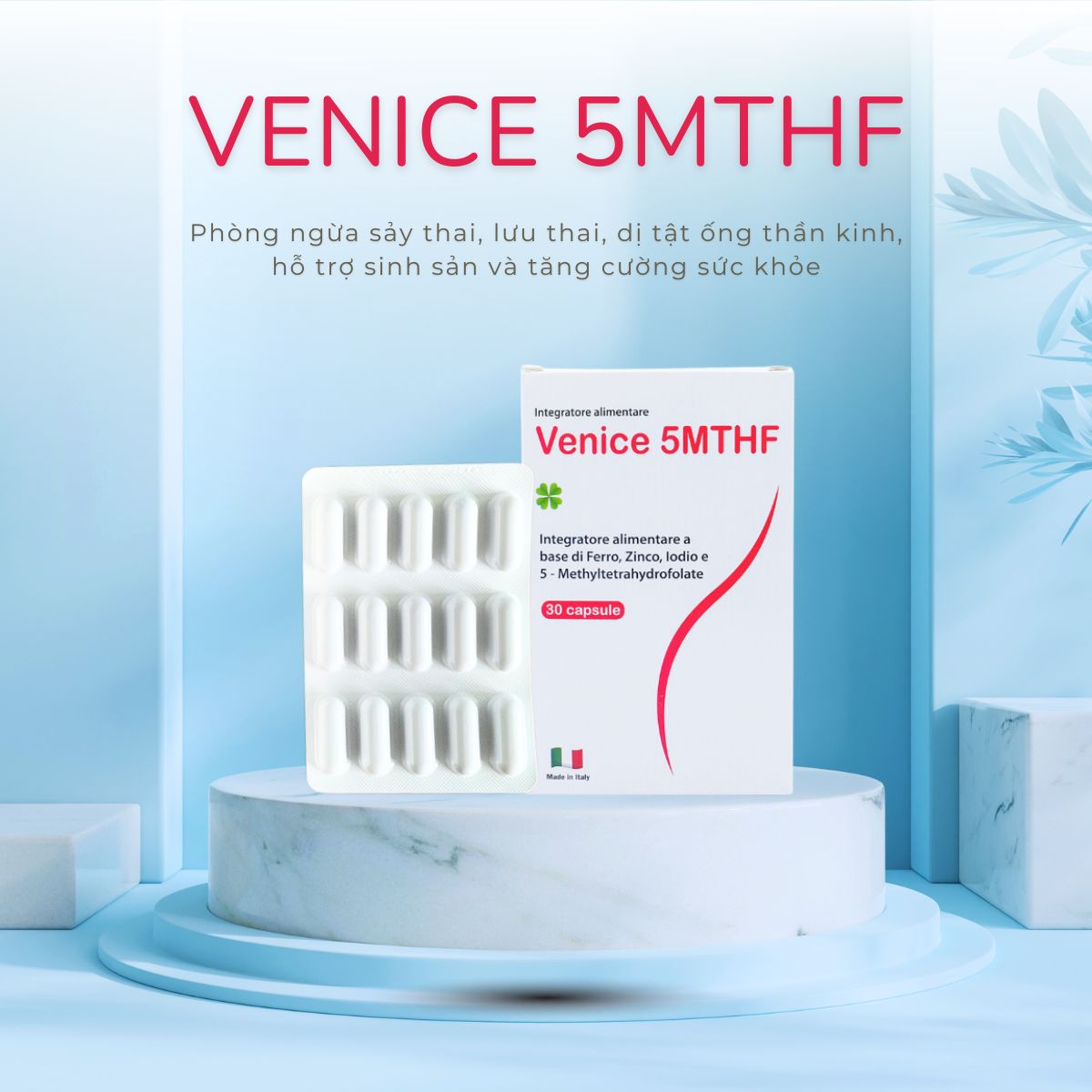 VENICE 5MTHF 15 VENICE 5MTHF