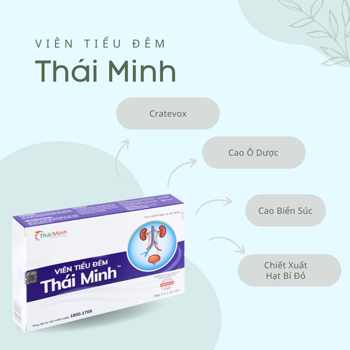 Viên Tiểu Đêm Thái Minh