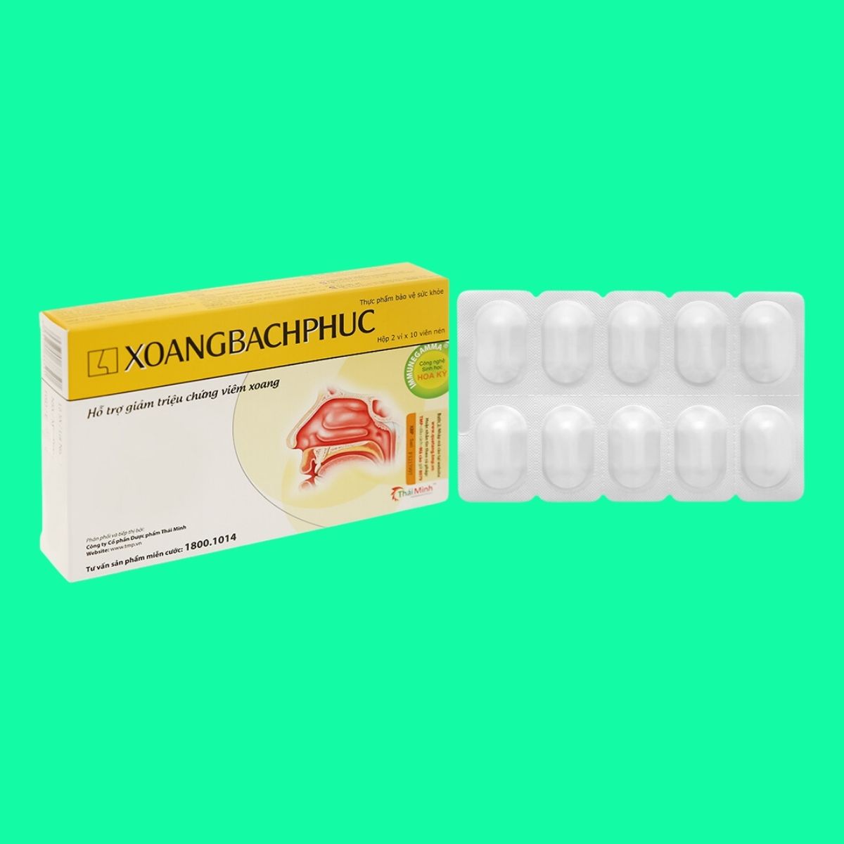 xoang-bach-phuc-1 Xoang Bách Phục