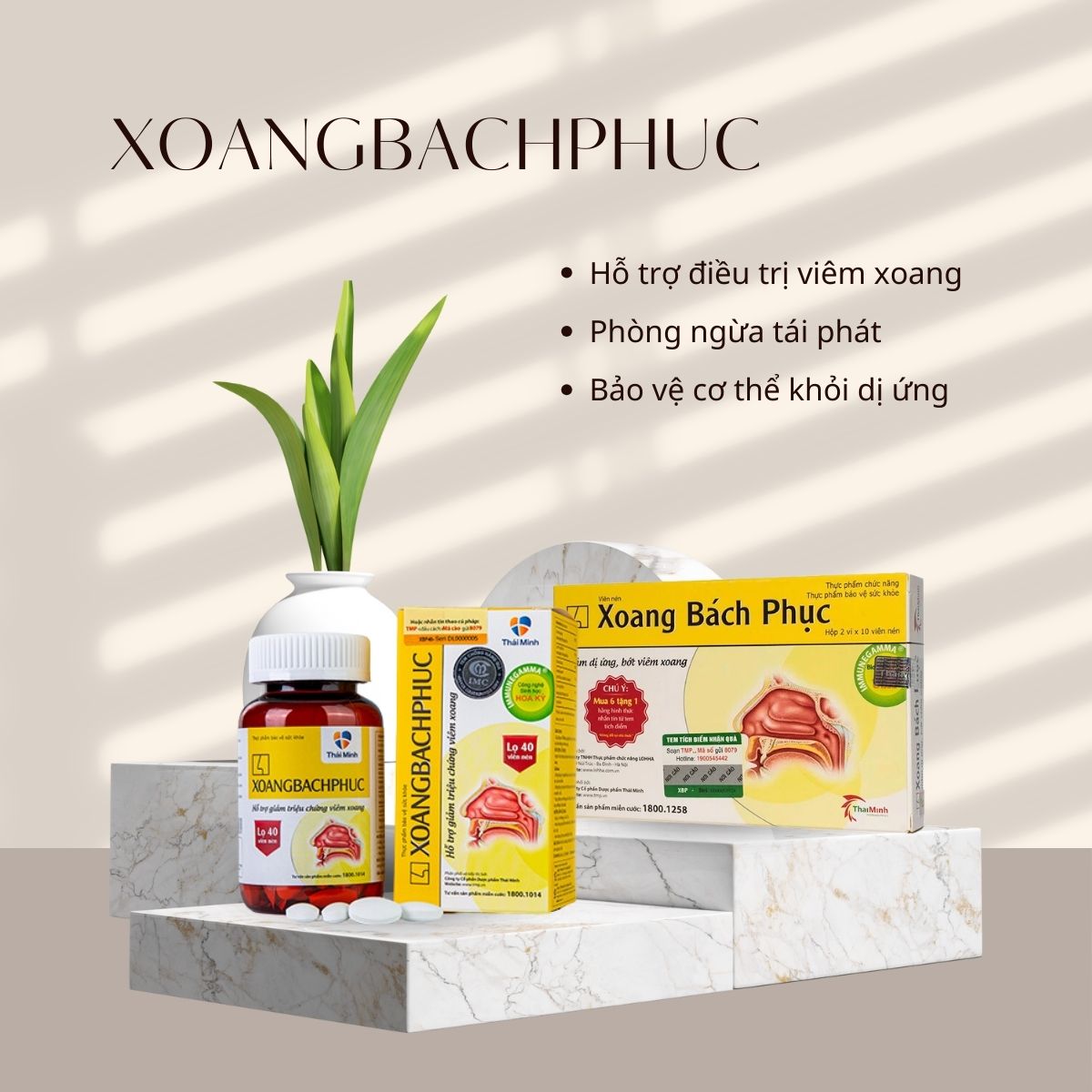 Xoang Bách Phục 14 Xoang Bách Phục