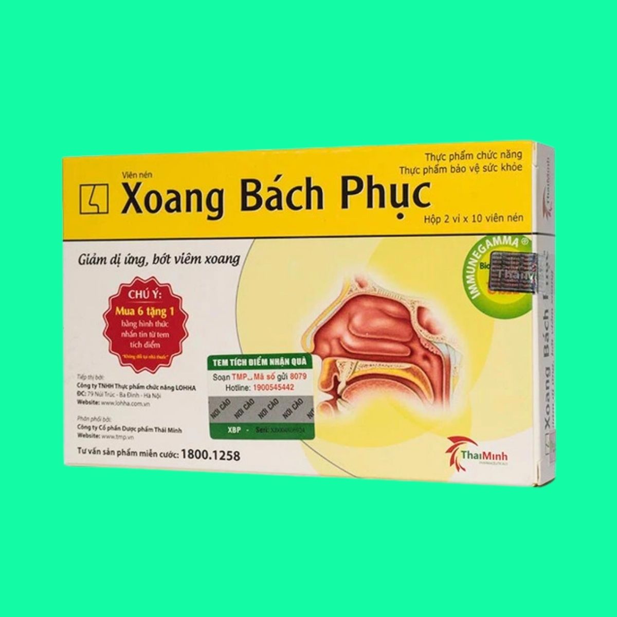 xoang-bach-phuc-2 Xoang Bách Phục
