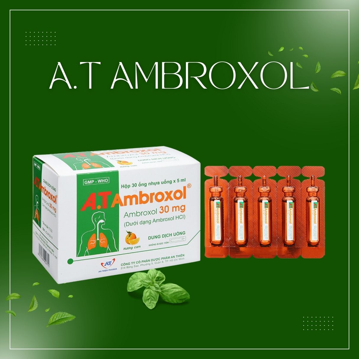 A.T Ambroxol (Dạng ống 5ml) 11 A.T Ambroxol
