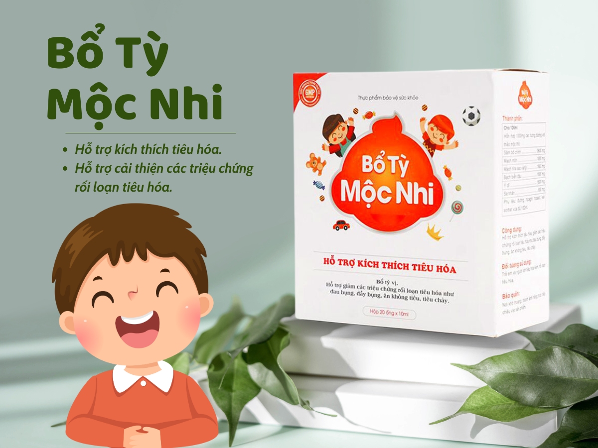 Bổ Tỳ Mộc Nhi hỗ trợ tăng cường tiêu hóa