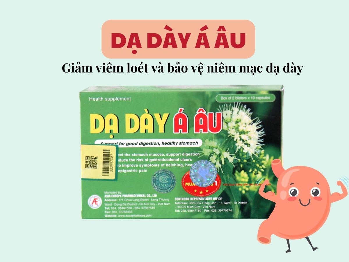 Dạ Dày Á Âu 14 Dạ Dày Á Âu - Hỗ trợ bảo vệ niêm mạc dạ dày